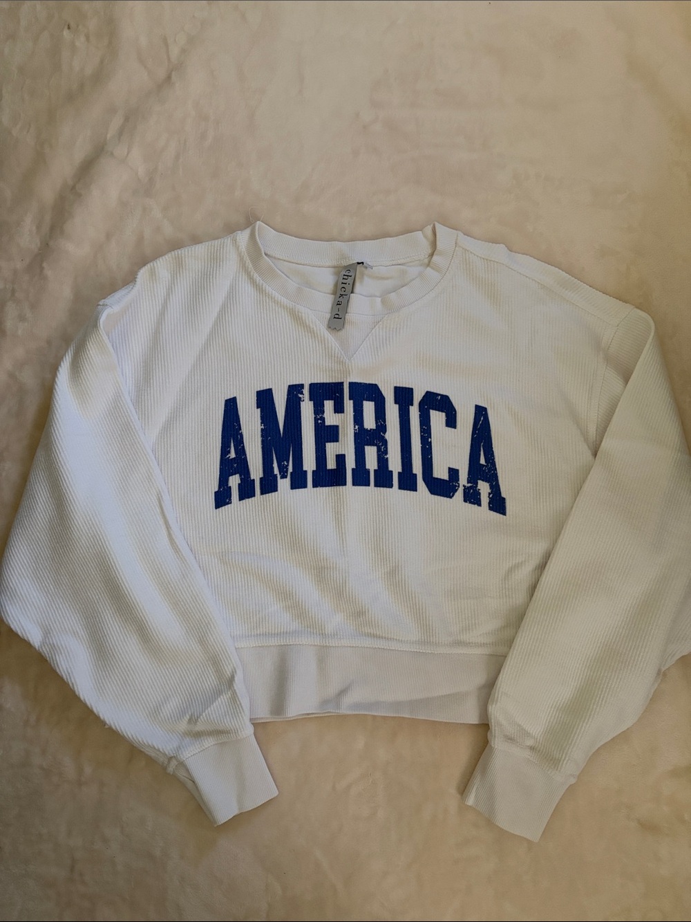 Cropped White Sweatshirt with Blue AMERICA Graphic